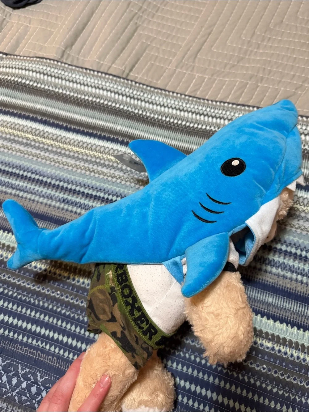 New With Tags Plush Shark Costume in Bright Blue